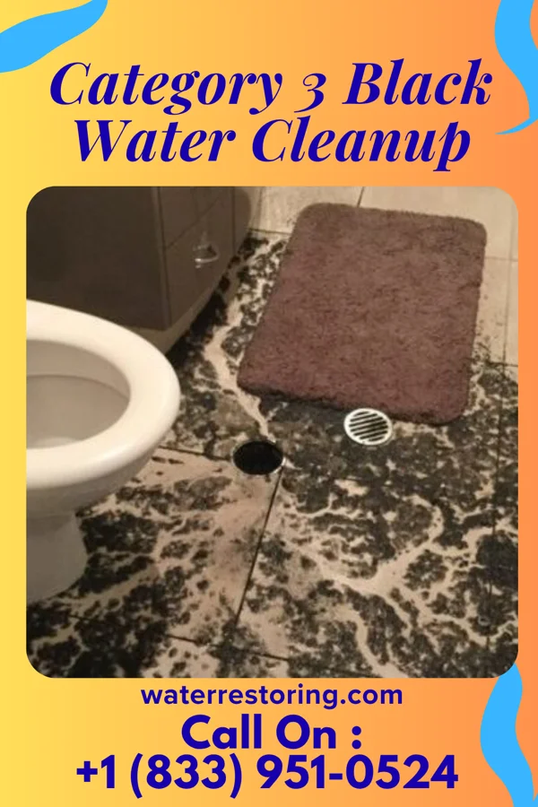 Category 3 Black Water Cleanup in Tselakai Dezza, UT