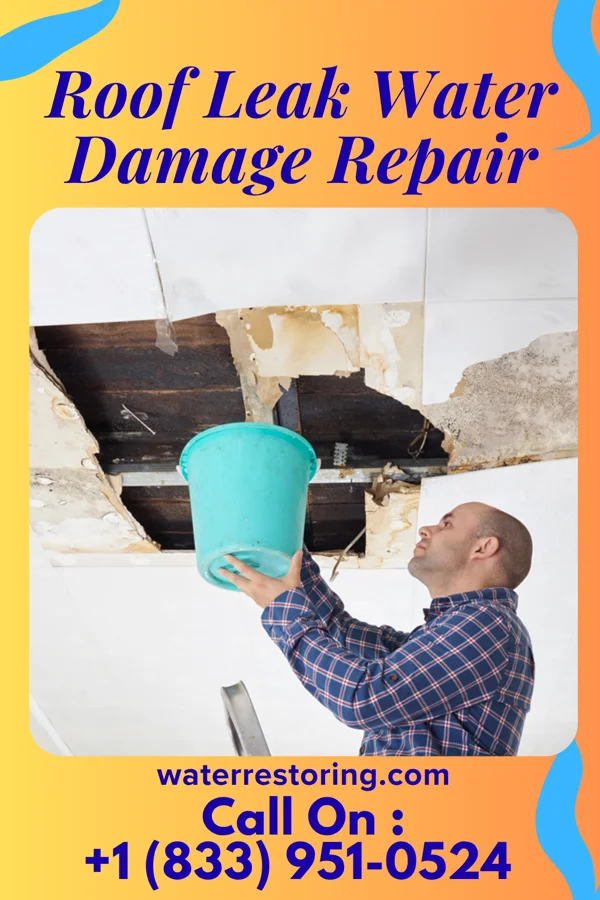 Roof Leak Water Damage Repair in Tselakai Dezza, UT